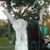 Chris Buckley's profile image