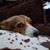Quintin Serafico's profile image