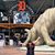 Alyssandra Schwind's profile image