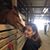 Glenda Herrin's profile image