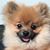 Oubonh Khounvichith's profile image