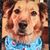 Sandy Ernst Wood's profile image