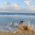 Blanca Iradia Martinez's profile image