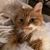 Holly Barrett Broderick's profile image