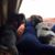 Susan Mayberry's profile image