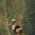 Le Ann Bigoni's profile image