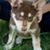 Dawn Ann's profile image