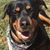 Courtney Strausbaugh's profile image