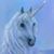 Caroline Bloodworth's profile image
