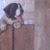 Tony Keasey's profile image