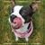 Christy Gelter Schneider's profile image