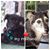 Jeannine Noll's profile image