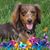 Lori Kowtko's profile image