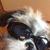 Richard Taapken's profile image