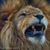 Joe Montgomery's profile image