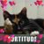 Sharon Wilson's profile image