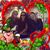 Lynn Marie's profile image
