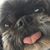 Lisa D. Woods's profile image