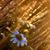 Linda Mazzucchi Hagey's profile image