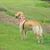 Cyndi Richards's profile image