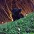 Alfonso Angles Vilche's profile image