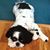 Maureen Landgraff Rossi's profile image
