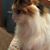Kay Bechtel's profile image