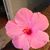 Barbara Borgal's profile image