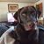 Sandy Porter's profile image