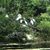 Pam Brown's profile image