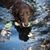 Raquel Miller's profile image