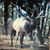 Samantha Weldon's profile image