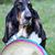 Noreen Cunningham's profile image