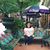 Cathy Montenegro's profile image