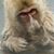 Antonio Ortega's profile image
