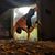 Nonualco Cuscatlan's profile image