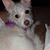 Sally Palmer's profile image