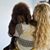 Amy Hartline Williams's profile image