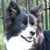 John Puppelo's profile image