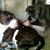 Helen Caride's profile image