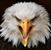 Chuck K Bousa's profile image