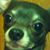 Chris Green's profile image