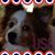 Becca Posey's profile image