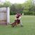 Wyatt Carter's profile image