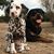 Tammy Passino Sommerhauser's profile image