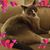 Hope Booth's profile image