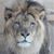 Sue Burda's profile image