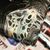 Kim Landia McCarthy's profile image
