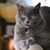 Jane Piotrowski's profile image