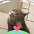 Michael Craig Adams's profile image